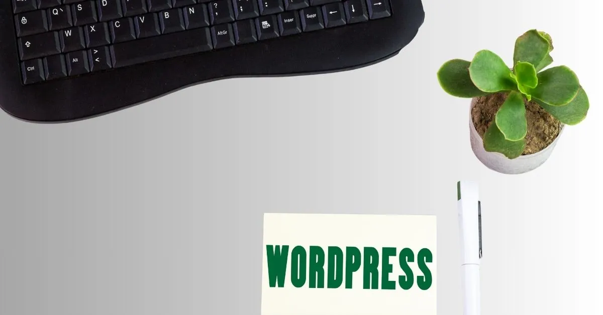 Wordpress website developer